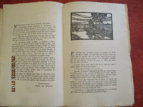 Au jardin des adages.. RAYNAL (François)