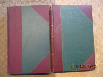 Riom pendant La Révolution. Documents et notes pour servir à l'histoire de la ville de Riom.