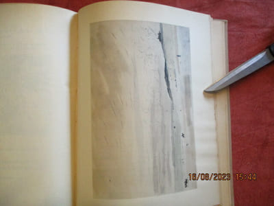 Dunoyer de Segonzac.