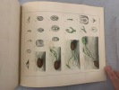 Revue des Sciences Naturelles. Tome V. No. 1. 15 Juin 1876. Dubreuil, E. 