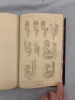 Revue des Sciences Naturelles. Tome VI. No. 1. 15 Juin 1877. Dubreuil, E. 