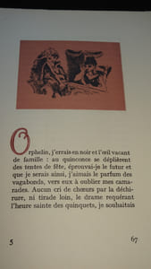 LES POËMES EN PROSE
