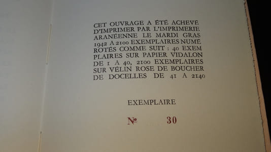 LES POËMES EN PROSE