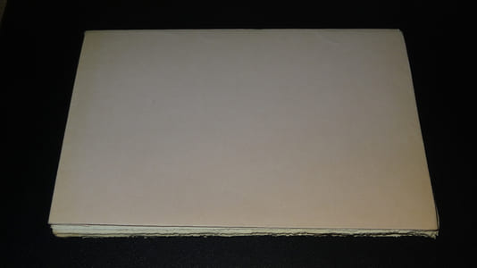 LES POËMES EN PROSE