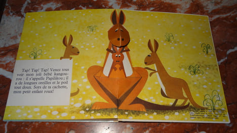 LE LIONCEAU POLISSON ET SES AMIS - LIVRE ANIMÉ - POP-UP. LUKES Rudolf