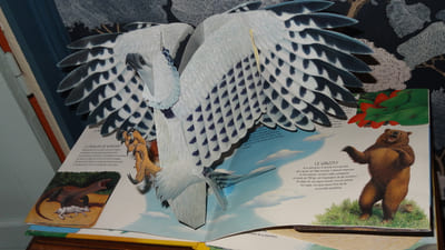 ANIMAUX DE L'EXTRÊME - Nick Denchfield & Anne Sharp - LIVRE EN 3 D - POP-UP