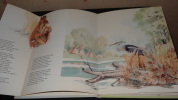 HIAWATHA - CONTE INDIEN - LIVRE ANIMÉ EN RELIEF - POP-UP. LONGFELLOW Henry Wadsworth