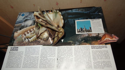 L'ÉVOLUTION - UN LIVRE EN TROIS DIMENSIONS - POP-UP