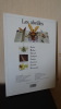 LES ABEILLES - ALBUM EN RELIEF - POP-UP. NORDEN Dr. Beth B.