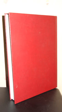 HARD-BOILED U.S.A. - HISTOIRE DU ROMAN NOIR AMÉRICAIN. O'BRIEN Geoffrey