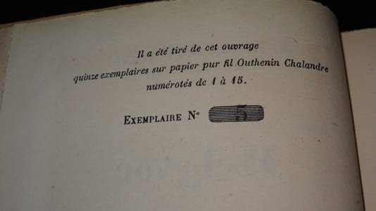 HELGVOR DU FLEUVE BLEU - ROMAN DES ÂGES FAROUCHES