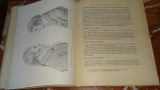 LA LITHOGRAPHIE ARTISTIQUE ET SES DIVERSES TECHNIQUES. LIEURE J.