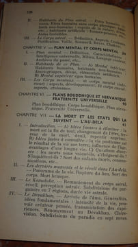 LA THÉOSOPHIE AU XXe SIÈCLE. BOHRER Marcel
