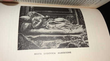 JOURNAL DE VOYAGE DU CAVALIER BERNIN EN FRANCE. CHANTELOU