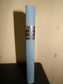 LE LIVRE DES CONVALESCENTS. PIROUETTE (Coquelin-Cadet)
