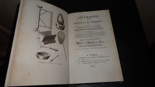 LES PIGEONS DE VOLIÈRE ET DE COLOMBIER OU HISTOIRE NATURELLE ET MONOGRAPHIE DES PIGEONS DOMESTIQUES
