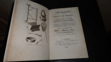LES PIGEONS DE VOLIÈRE ET DE COLOMBIER OU HISTOIRE NATURELLE ET MONOGRAPHIE DES PIGEONS DOMESTIQUES. BOITARD & CORBIÉ