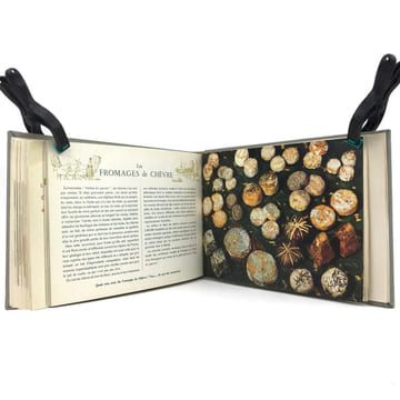 Le Livre de l’amateur de fromages. - Fromages de France.. LINDON (Raymond) ; OSTIER (Jacques)