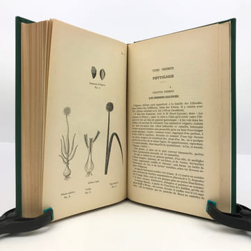 Sur les Allium : les Aulx. Histoire, Légende & Littérature. Phytologie, thérapeutique & Pharmacologie. Les Hyarates de Carbone des Allium. ...