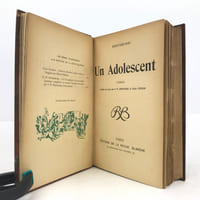 Un Adolescent.