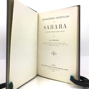 Ressources végétales du Sahara et de ses confins nord et sud. Les Blés du Sahara. Les Cultures dans le Nord de la région du Tchad.