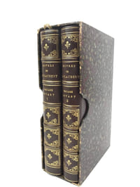 Madame Bovary. Mœurs de province