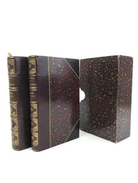 Madame Bovary. Mœurs de province