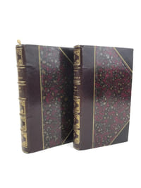 Madame Bovary. Mœurs de province