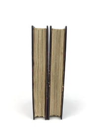 Madame Bovary. Mœurs de province