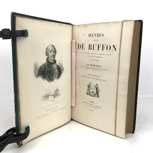 Œuvres complètes de Buffon (avec la nomenclature linnéenne et la classification de Cuvier).