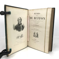 Œuvres complètes de Buffon (avec la nomenclature linnéenne et la classification de Cuvier).