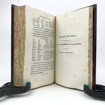 L’Afrique équatoriale. Okanda. Bangouens. Osyéba. . COMPIÈGNE (Marquis de)