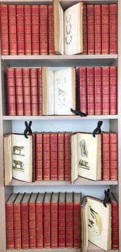 Œuvres complètes de Buffon, avec les descriptions anatomiques de Daubenton, son collaborateur. . LECLERC DE BUFFON (Georges-Louis)  