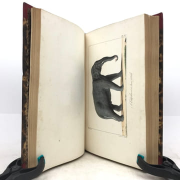 Œuvres complètes de Buffon, avec les descriptions anatomiques de Daubenton, son collaborateur. . LECLERC DE BUFFON (Georges-Louis)  