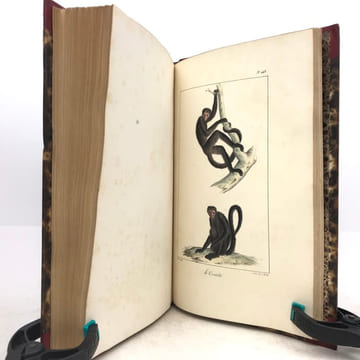 Œuvres complètes de Buffon, avec les descriptions anatomiques de Daubenton, son collaborateur. . LECLERC DE BUFFON (Georges-Louis)  