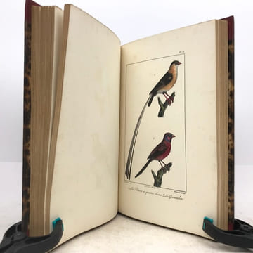 Œuvres complètes de Buffon, avec les descriptions anatomiques de Daubenton, son collaborateur. . LECLERC DE BUFFON (Georges-Louis)  
