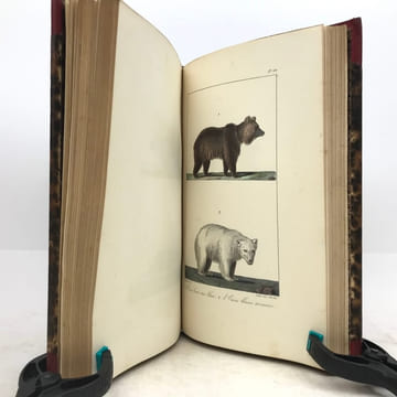 Œuvres complètes de Buffon, avec les descriptions anatomiques de Daubenton, son collaborateur. . LECLERC DE BUFFON (Georges-Louis)  