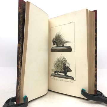 Œuvres complètes de Buffon, avec les descriptions anatomiques de Daubenton, son collaborateur. . LECLERC DE BUFFON (Georges-Louis)  