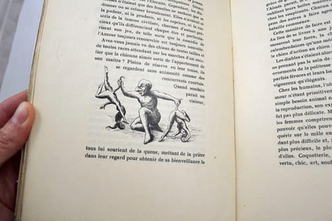 Le Triomphe du grotesque.. FREDH