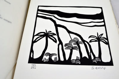 Images d’Alizé.