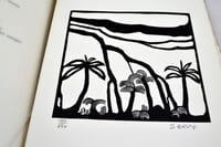Images d’Alizé.