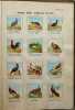 Atlas-Manuel zoologique, le règne animal représentée d’après nature dans ses principaux types. A. B. . HAGELBERG, W. 