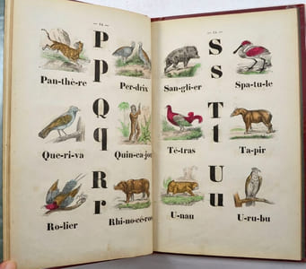 Nouvel alphabet instructif et pittoresque, ou premier livre des enfants contenant un grand nombre d'exercices de lecture et un choix d'historiettes morales.