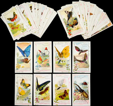 Le monde des insectes.. [CHROMOLITHOGRAPHIES]