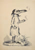 ANTHROPOMORPHISME. Recueil de 17 dessins &agrave; la plume de grande qualit&eacute;, repr&eacute;sentant principalement des animaux anthropomorphes.. MARSHALL, F.