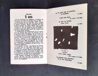 Le Brûlot - N°29 - Pamphlet rédigé par Gustave-Arthur Dassonville - 15 mars 1965 -