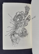 L'homme-cristal, suivi de Le dernier amour du Colonel Radoschkovski -  par BETTENCOURT (Pierre) -  - Image 2