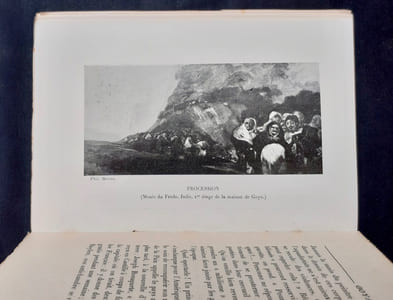 Goya -