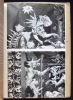 Triomphe de la tapisserie - Cahiers des Amis de l'art N°9 - . LURCAT (Jean) - DIEHL (Gaston) - ELGAR (F.) - TAL-COAT (P.) - COUTAUD (Lucien) - ...