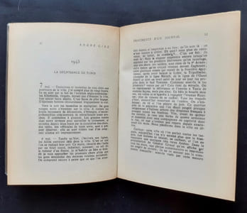 Nouvelles chroniques (Chroniques interdites II) -